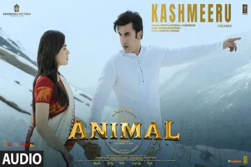 KASHMEERU SONG  - ANIMAL | SANDEEP REDDY VANGA Lyrics