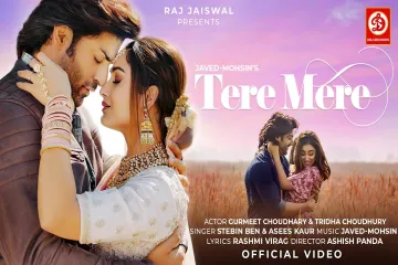 Tere Mere (Hindi) Lyrics