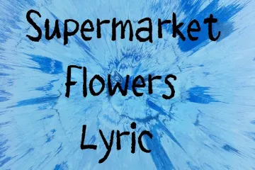 Supermarket Flowers Lyrics