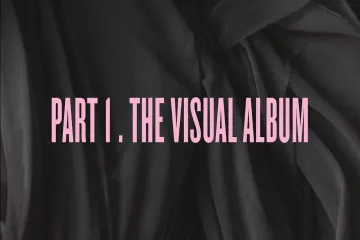 the visual Lyrics