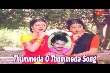 Tummeda O Tummeda Song Lyrics