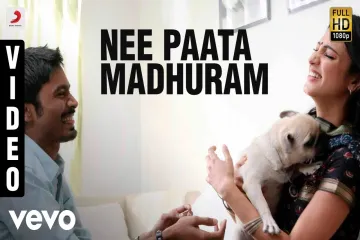 3 (Telugu) - Nee Paata Madhuram Lyrics Song | Dhanush, Shruti | Anirudh Lyrics