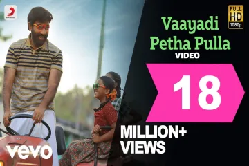 Vaayadi Petha Pulla  In Tamil amp English  Kanaa Lyrics