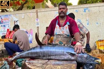 KASIMEDU ? SPEED SELVAM | BIG SIZE ARA KOLA FISH CUTTING | IN KASIMEDU | 4K VIDEO | FF CUTTING ? Lyrics