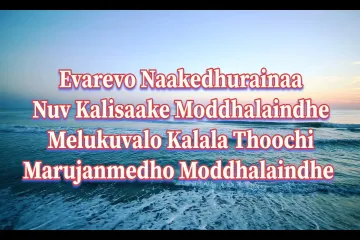 Evarevaro animal rashmika Lyrics