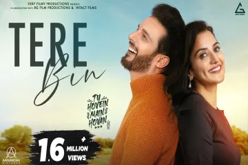 Tere Bin   Lyrics