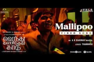 Mallipoo-Vendhu Thanindhathu Kaadu |Thamarai Lyrics