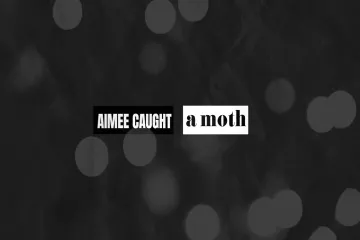 Another Sky - Aimee Caught a Moth (Lyric Visualiser) Lyrics