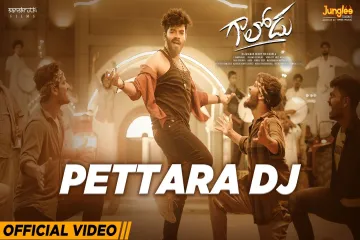 Petaraa dj  in English  Lyrics