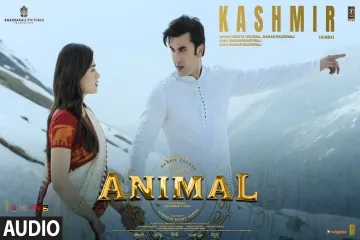 Kashmir Song -Animal Lyrics