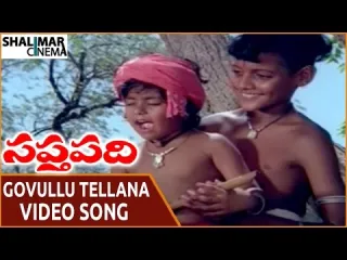 Govullu Tellana Video Song  Saptapadi Movie  KV Mahadevan Lyrics