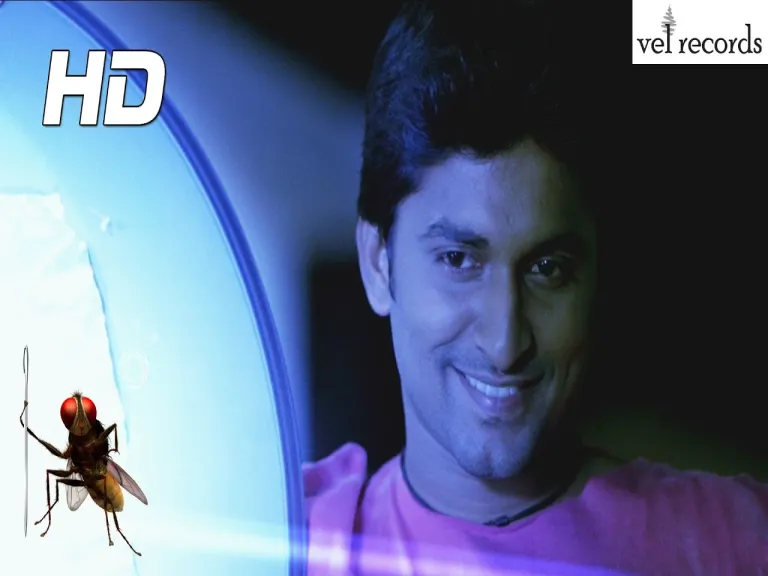 Nene nani ne - Eega Lyrics