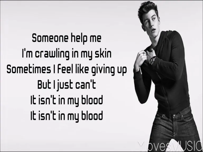 Shawn Mendes - In My Blood () Lyrics