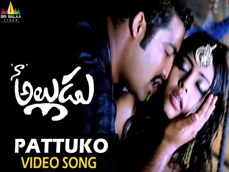 Pattuko pattuko song Lyrics in Telugu & English | Naa Alludu Movie  Lyrics