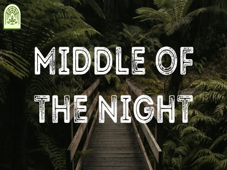 Middle of the Night () Lyrics