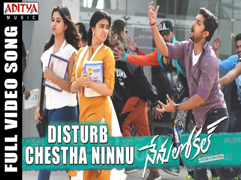 Disturb Chestha Ninnu Song  - Nenu Local Lyrics